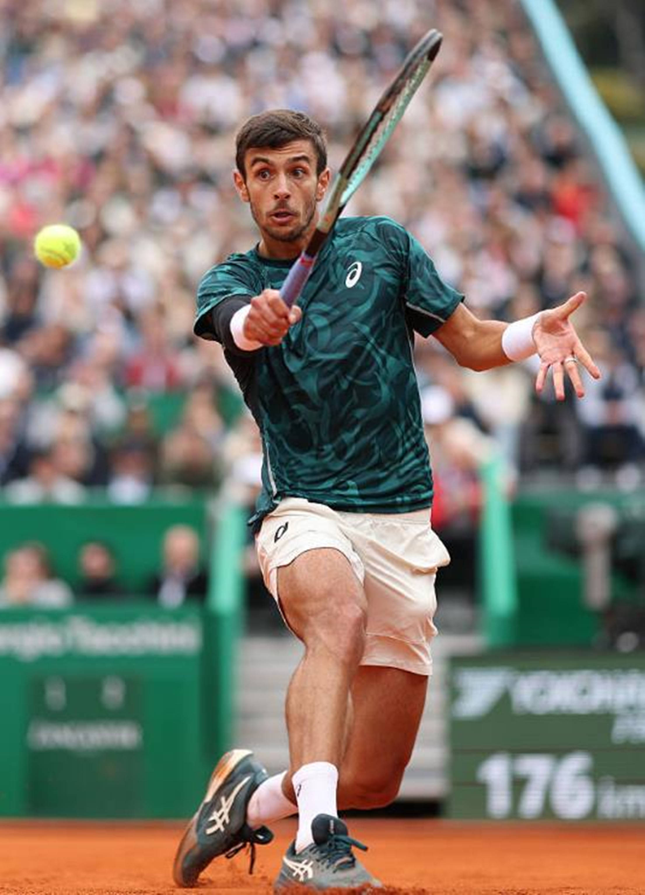 种对排名斤 种对排名斤