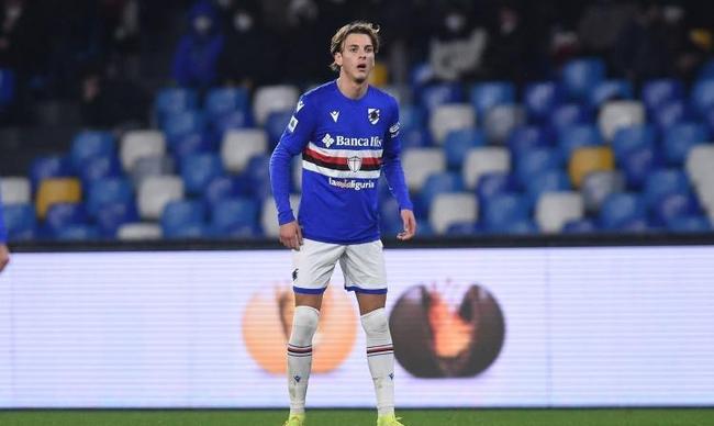 年轻且具备 年轻且具备